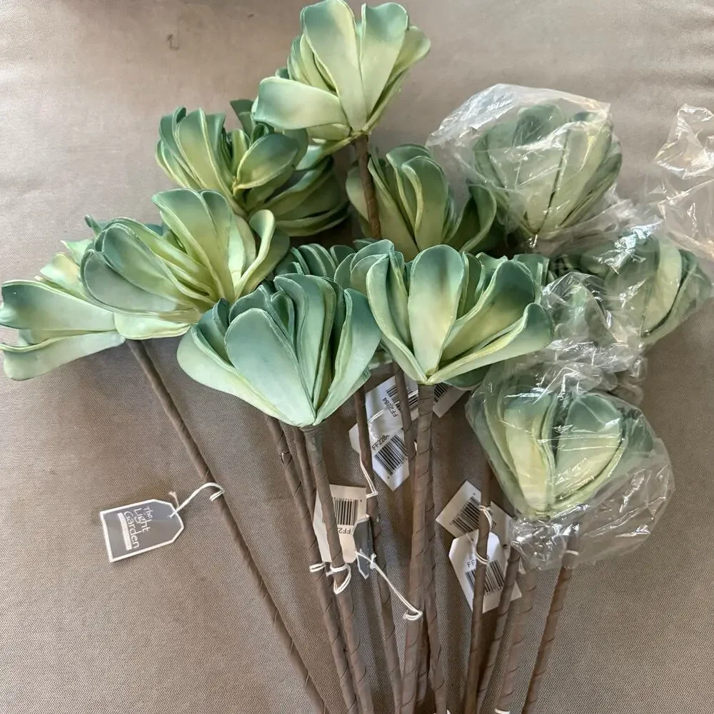 The Light Garden Collection lot 10